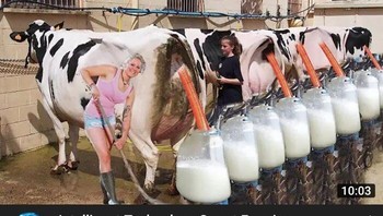 Cara baru menghasilkan susu. Foto: Boredpanda