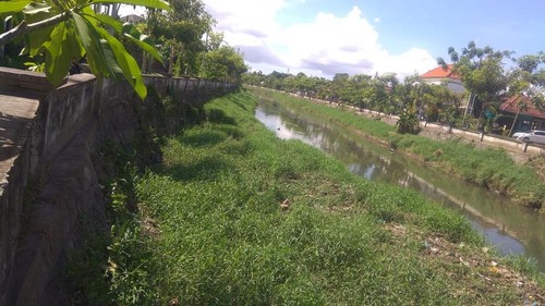 Tingkat sedimentasi di Sungai Tukad Mati, Kecamatan Kuta, Kabupaten Badung.