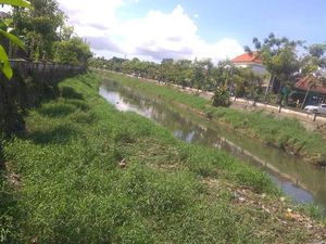 PUPR Badung Kena Tegur, BWS Bali; Normalisasi Tukad Mati Terburu-buru
