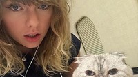 Taylor Swift diketahui juga sebagai pencinta kucing. Dia memelihara dua ekor kucing yang bernama Meredith Grey dan Olivia Benson.  Foto: Istimewa