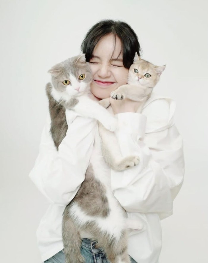7 Pose Artis dan Kucing Kesayangannya 7 Pose Artis dan Kucing Kesayangannya