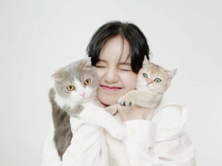 Gemes Banget! 7 Pose Artis Bareng Kucing Kesayangannya