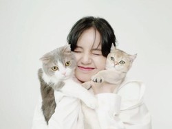 6 Kepribadian Wanita yang Suka Kucing, Mandiri hingga Penuh Empati