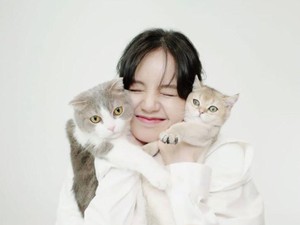 6 Kepribadian Wanita yang Suka Kucing, Mandiri hingga Penuh Empati