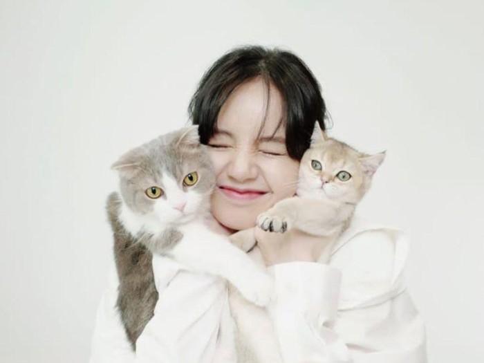 7 Pose Artis dan Kucing Kesayangannya
