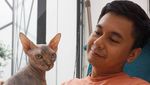 Gemes Banget! 7 Pose Artis Bareng Kucing Kesayangannya