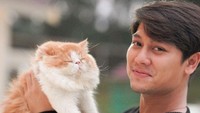 Saat melamar Lesti Kejora, Rizky Billar juga pernah membawa kucing peliharaannya yang bernama Naruto.  Foto: Istimewa