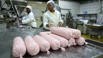 Burger Nabati Jadi Alternatif Pengganti Daging di Afrika, Begini Bentuknya