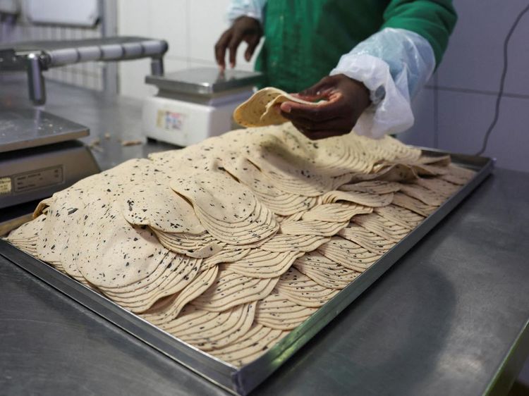 Burger Nabati Jadi Alternatif Pengganti Daging di Afrika, Begini Bentuknya