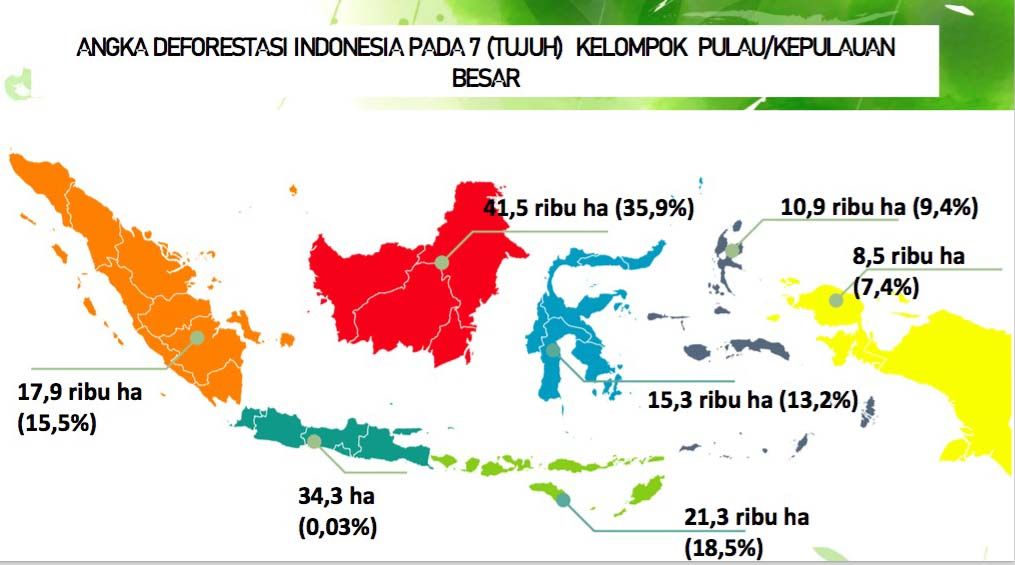 deforestasi deforestasi
