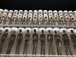 Bukan Foto Penampakan Hantu Tapi Tetap Seram Dilihat