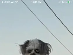 Bukan Foto Penampakan Hantu Tapi Tetap Seram Dilihat