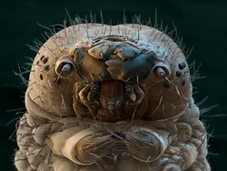 Bukan Foto Penampakan Hantu Tapi Tetap Seram Dilihat