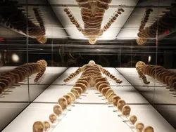 Bukan Foto Penampakan Hantu Tapi Tetap Seram Dilihat