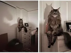 Bukan Foto Penampakan Hantu Tapi Tetap Seram Dilihat