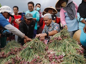 Ganjar Buat Posko Pelayanan & Pengaduan Pupuk Bersubsidi bagi Petani