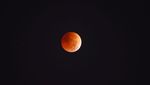 Pesona Gerhana Bulan di New York, Mengagumkan...