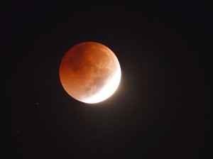 Beaver Moon November 2025 Tanggal Berapa? Ini Jadwal dan Cara Melihatnya