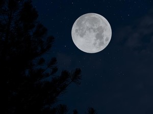 Ada Cold Moon 4-5 Desember, Simak Prakiraan Pasang Laut BMKG