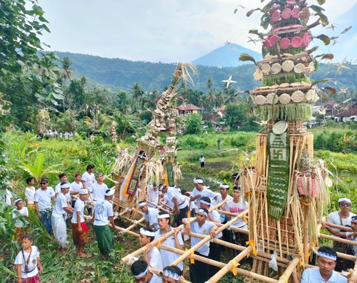 Masyarakat Banjar Adat Kebon, Karangasem saat melakukan arak-arakan Dangsil melewati persawahan dan perkebunan warga. Foto: I Wayan Selamat Juniasa