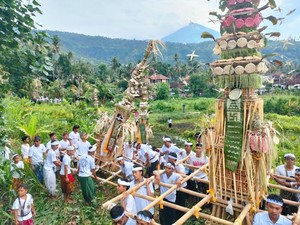 Usaba Dangsil di Banjar Adat Kebon, Ungkapan Syukur Hasil Panen Petani