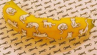 Lucunya kucing-kucing putih ini dilukis, sehingga mirip motif baju yang menggemaskan.  Foto: Instagram @funwithfruit