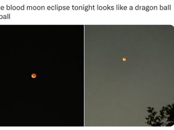 Aneka Foto Gerhana Bulan Total dari Netizen Dunia
