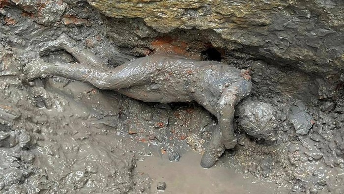 Potret Patung Perunggu Berusia 2.300 Tahun yang Ditemukan di Italia Newly discovered 2,300-year-old bronze statues are displayed at a laboratory in Grosseto, Italy, in this handout photo obtained by Reuters on November 8, 2022. Ministero della Cultura/Handout via REUTERS ATTENTION EDITORS THIS IMAGE HAS BEEN SUPPLIED BY A THIRD PARTY. NO ARCHIVES. NO RESALES