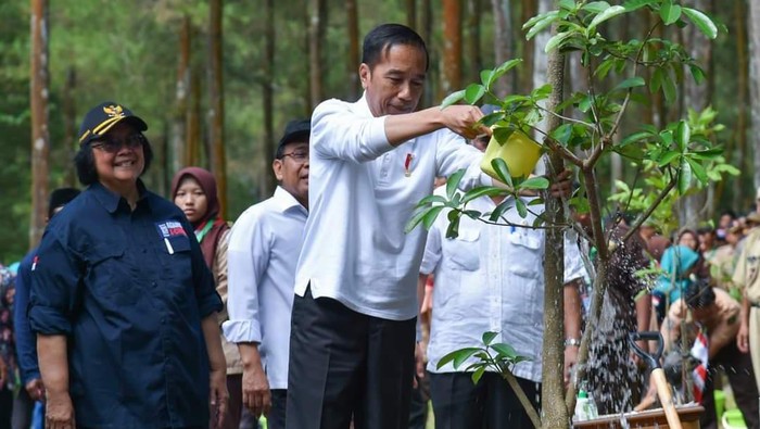 Presiden Jokowi dan Menteri KLHK Siti Nurbaya