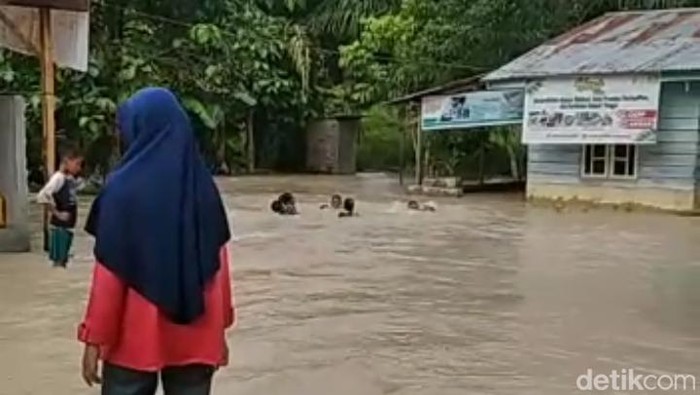 Seribuan warga mengungsi akibat banjir di Asahan.