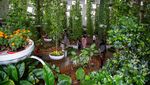 Wow, Dubai Punya Taman Kupu-kupu Terbesar di Dunia