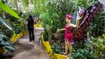 Wow, Dubai Punya Taman Kupu-kupu Terbesar di Dunia