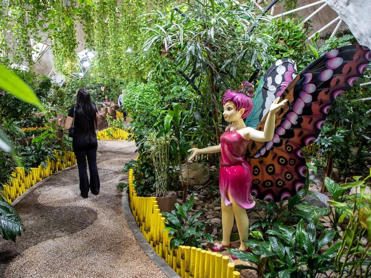 Wow, Dubai Punya Taman Kupu-kupu Terbesar di Dunia