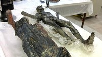 Setelah pemugaran, patung-patung itu akhirnya akan dikembalikan ke San Casciano dei Bagni untuk dipajang di museum baru.
