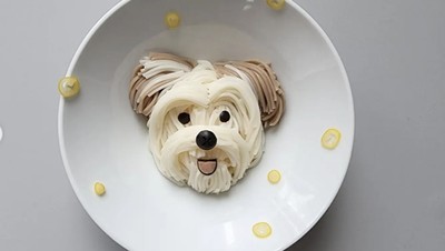 Gemas! Netizen Ini Bikin Kreasi Mie Bentuk Anjing Lucu