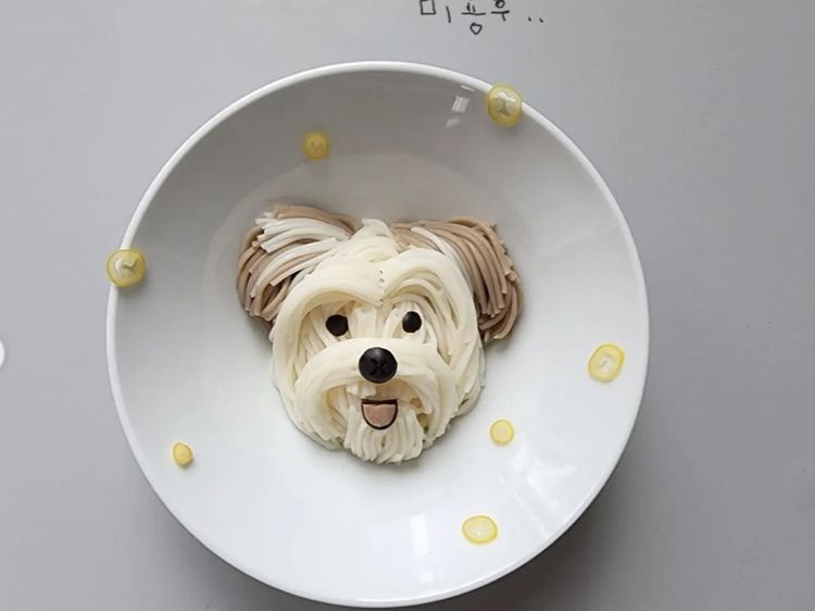 Gemas! Netizen Ini Bikin Kreasi Mie Bentuk Anjing Lucu