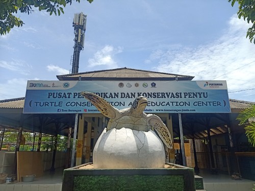 Lokasi ketiga yang akan dikunjungi para delegasi KTT G20 yaitu Turtle Conservartion and Education Center (TCEC) Serangan.

Pengelola TCEC Serangan, I Made Sukanta menjelaskan, pihaknya telah melakukan beberapa persiapan untuk menyambut para delegasi. Termasuk melakukan penataan dan mempersiapkan suvenir untuk 80 orang. Pihaknya juga menyiapkan orang yang bertugas untuk memberi edukasi seputar konservasi penyu.