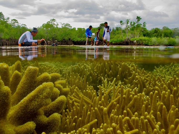 Mangrove Photography Awards 2022 Mangrove Photography Awards 2022