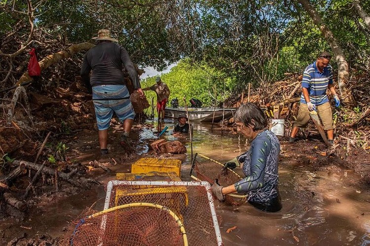 Mangrove Photography Awards 2022 Mangrove Photography Awards 2022