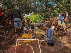Karya Memukau Jawara Kontes Foto Mangrove, Banyak dari Indonesia