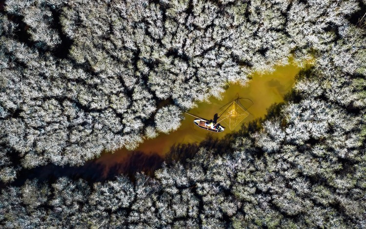 Mangrove Photography Awards 2022 Mangrove Photography Awards 2022