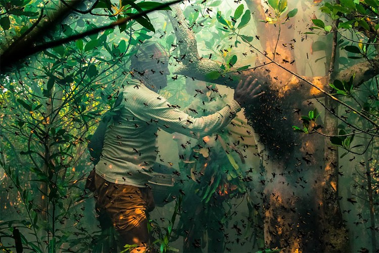 Mangrove Photography Awards 2022 Mangrove Photography Awards 2022