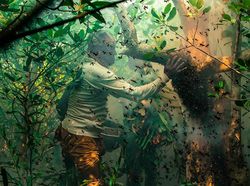 Karya Memukau Jawara Kontes Foto Mangrove, Banyak dari Indonesia