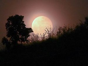 Ini Waktu Gerhana Bulan Total 7-8 September 2025 Melintas di Indonesia