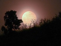 Ini Waktu Gerhana Bulan Total 7-8 September 2025 Melintas di Indonesia