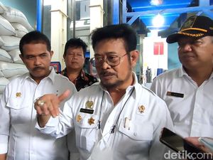 Jamin Stok Beras Aman Jelang Ramadan, Mentan: Mulai Panen di Mana-mana