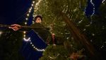 Lihat Nih Pohon Natal Hidup Tertinggi di Inggris