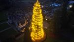 Lihat Nih Pohon Natal Hidup Tertinggi di Inggris