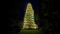 Penampakan Pohon Natal di Wakehurst Place, West Sussex, Inggris, Rabu (9/11/2022).  