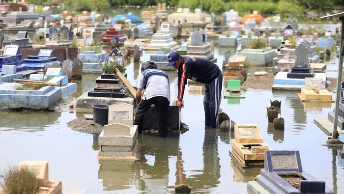Pemakaman di Indramayu Terendam Banjir Rob Gerhana Bulan Sejumlah makam terendam banjir rob di Desa Eretan Wetan, Kandanghaur, Indramayu, Jawa Barat, Rabu (9/11/2022). Banjir akibat pasang air laut tersebut sering terjadi di kawasan itu dengan ketinggian air mencapai 50 cm yang mengakibatkan pemakaman dan akses jalan terendams. ANTARA FOTO/Dedhez Anggara/YU